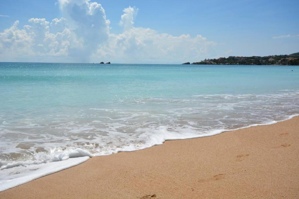 Beachfront Getaway For Two! Humacao Exteriér fotografie